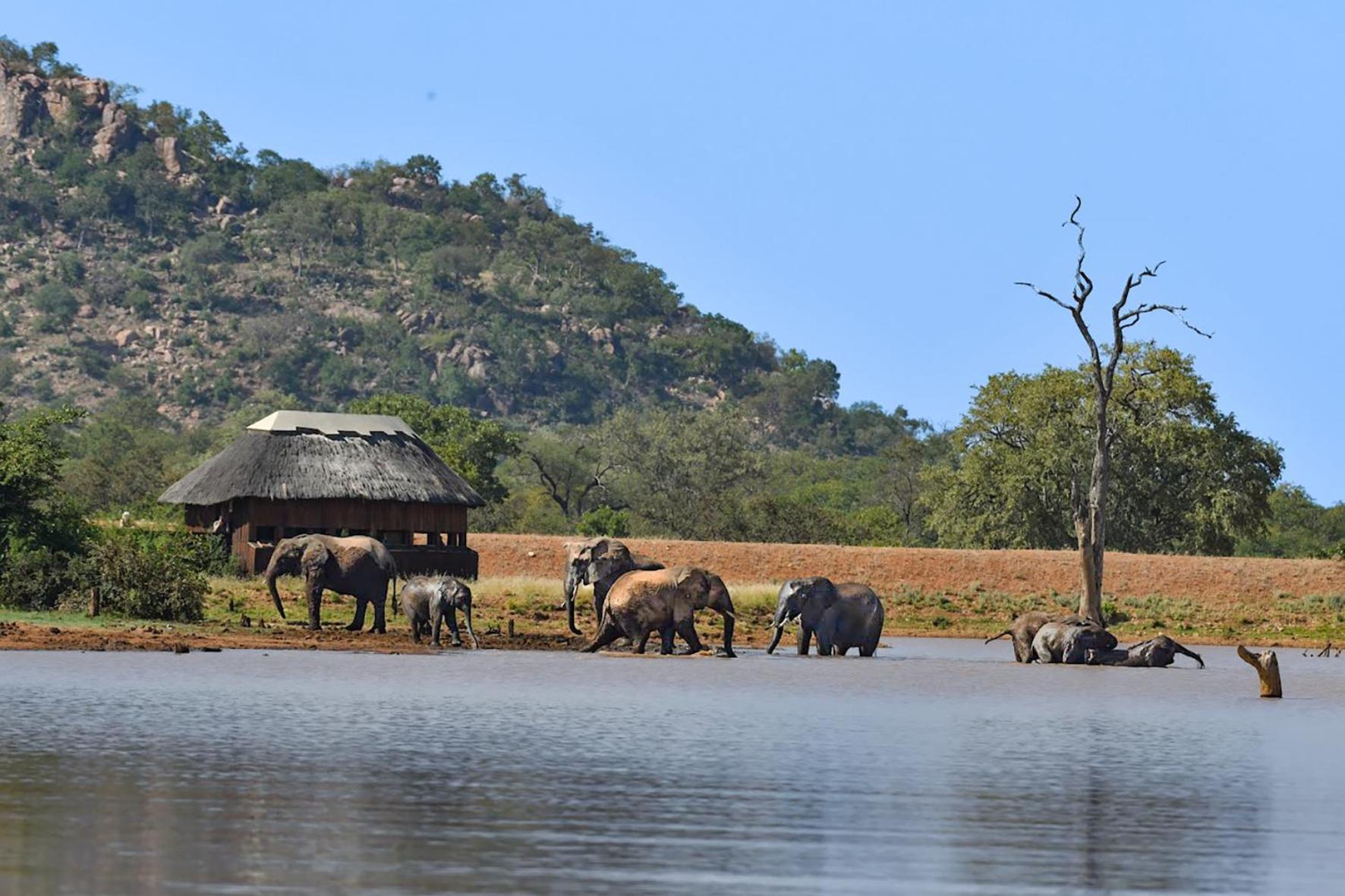 Luxury Safari Homes view 2