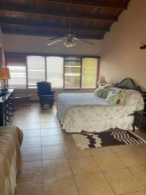 Coronado Beachfront tropical home! view 5