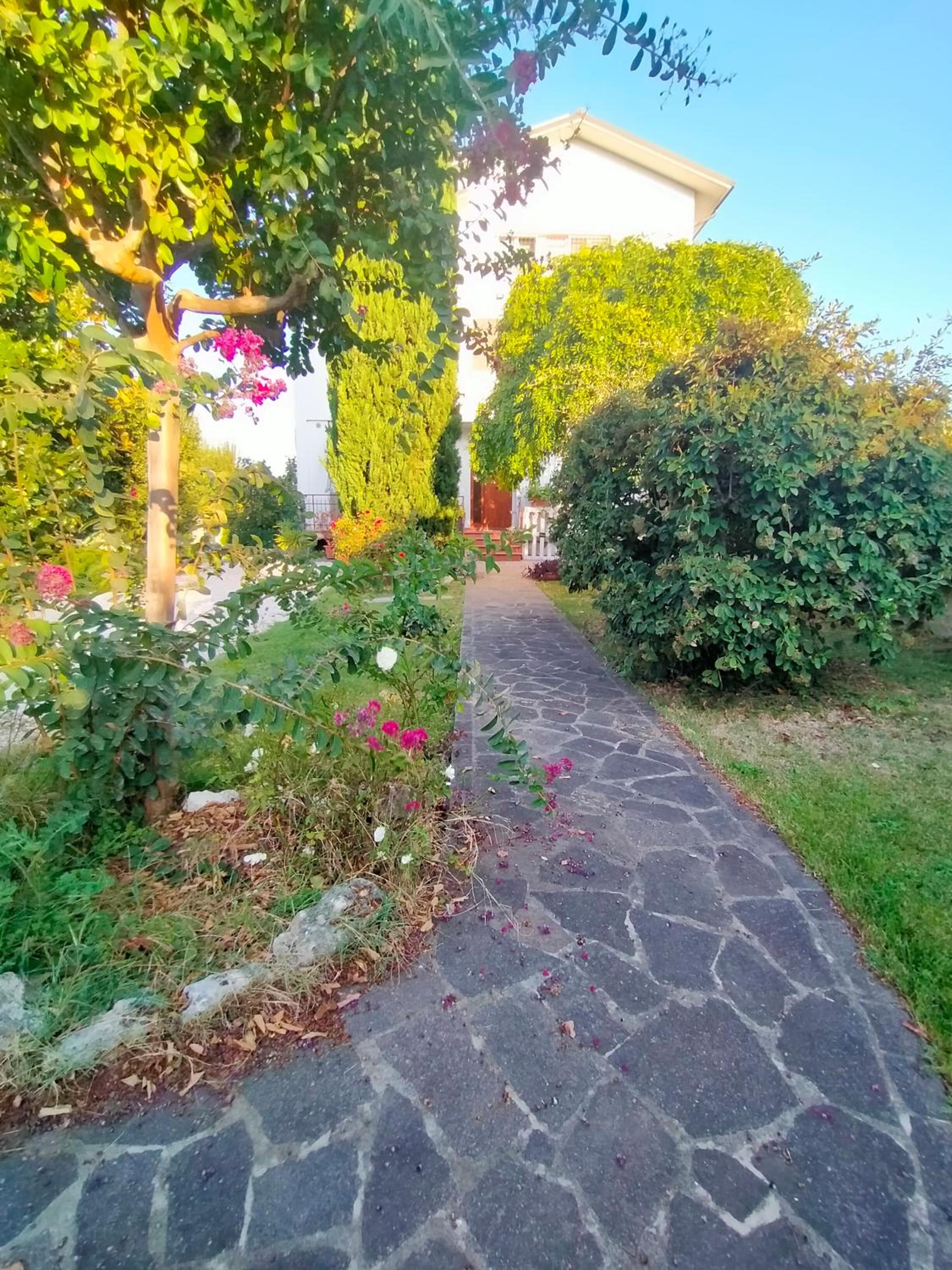 Photo 38