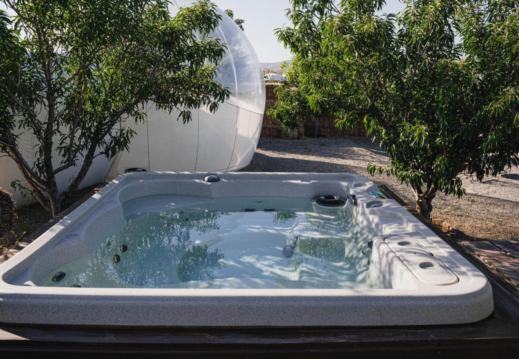 Ensenada Vacations - Campera Valle de Guadalupe - Property Image 41