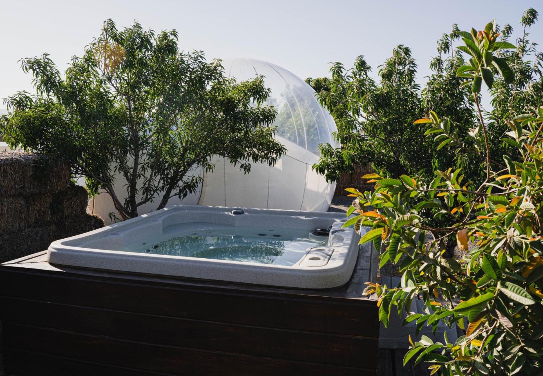 Ensenada Vacations - Campera Valle de Guadalupe - Property Image 17