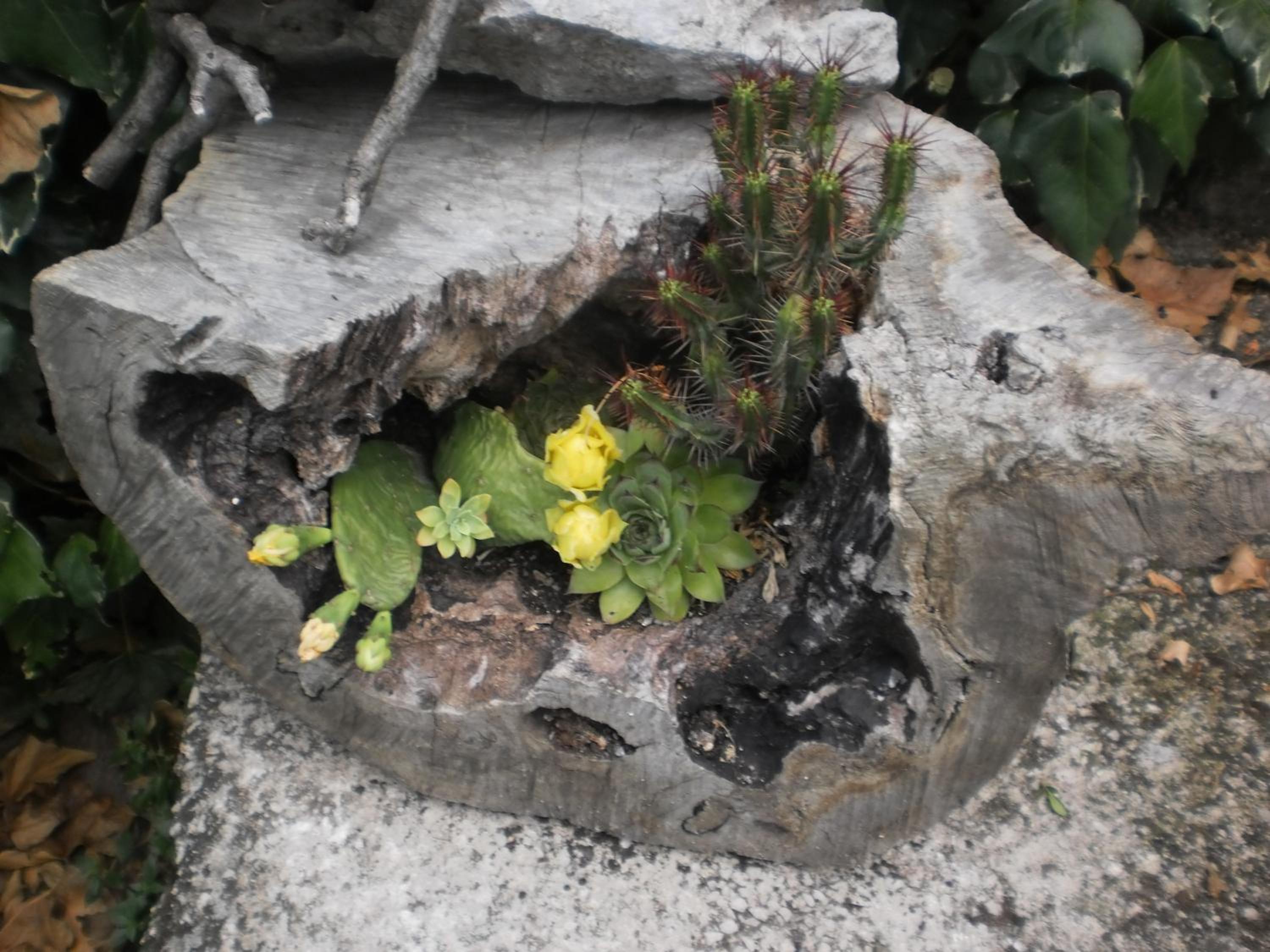 Photo 29