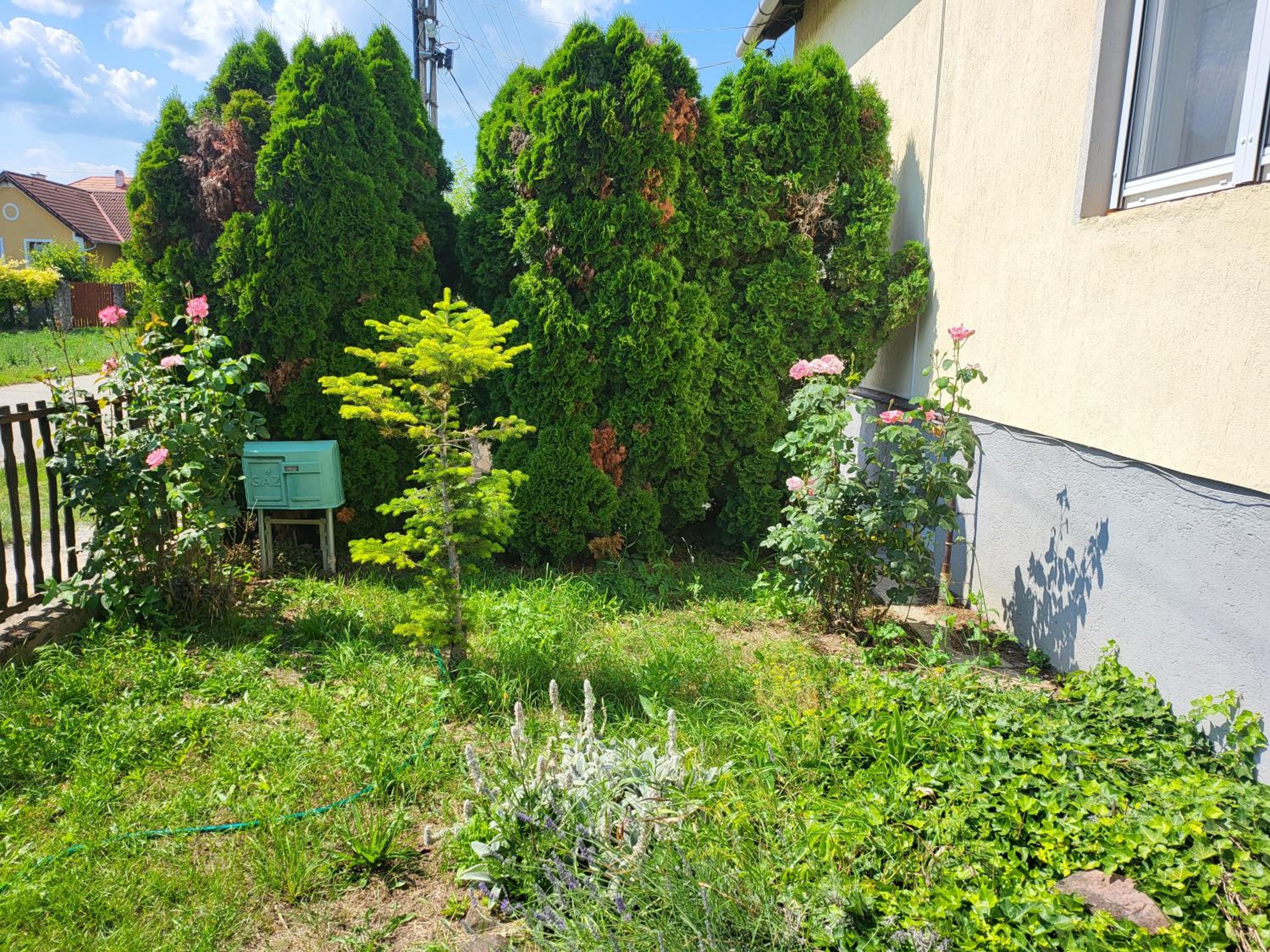 Photo 30