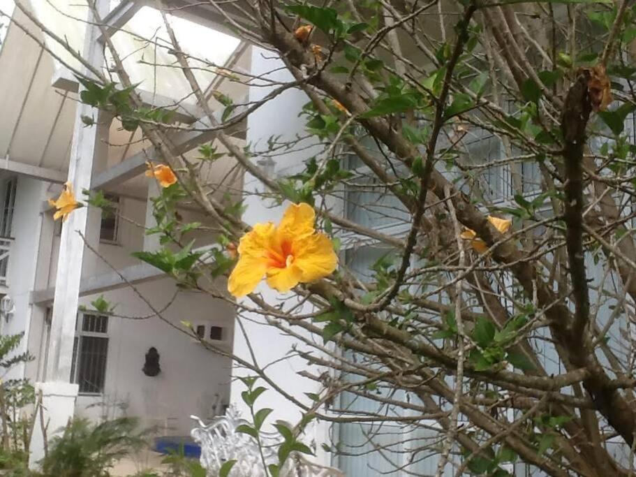 Casa na Serra de Guaramiranga