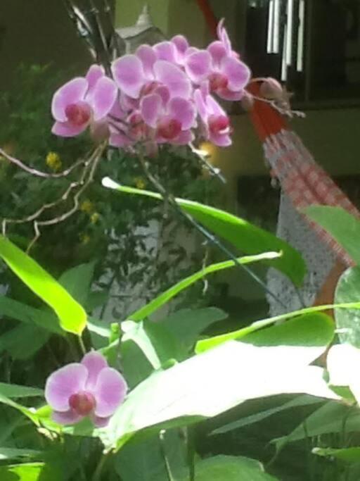 Casa na Serra de Guaramiranga