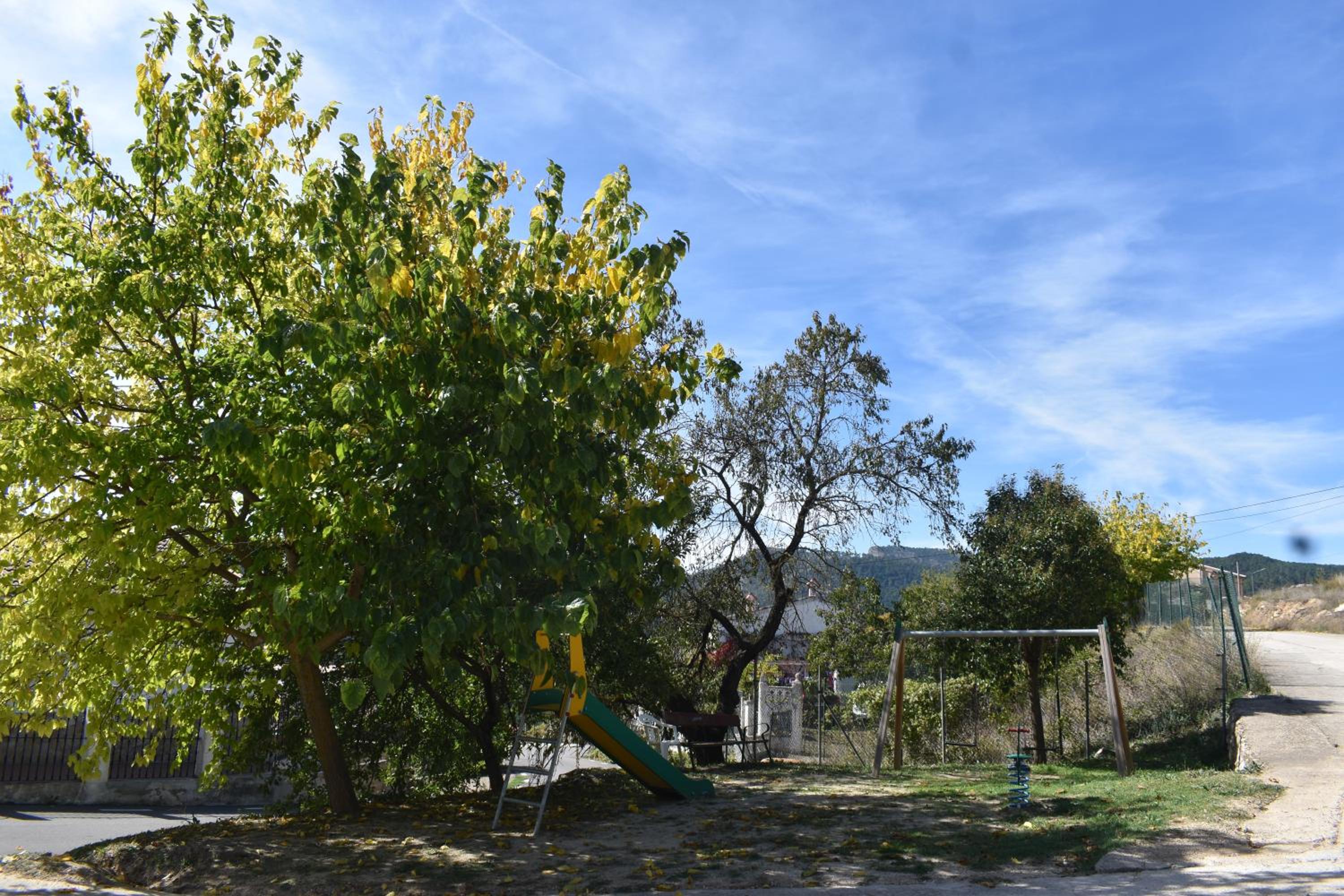 Photo 32
