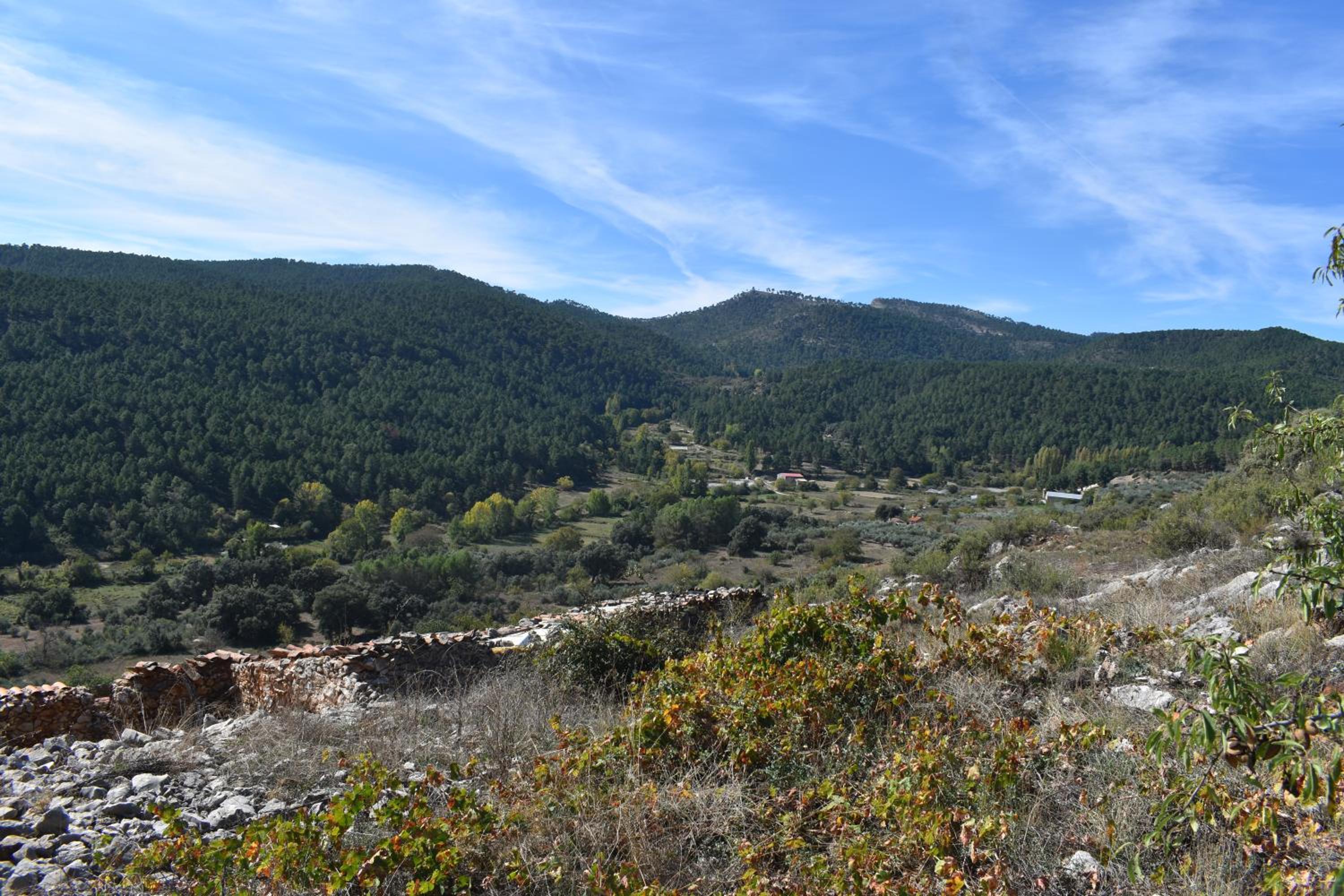 Photo 48