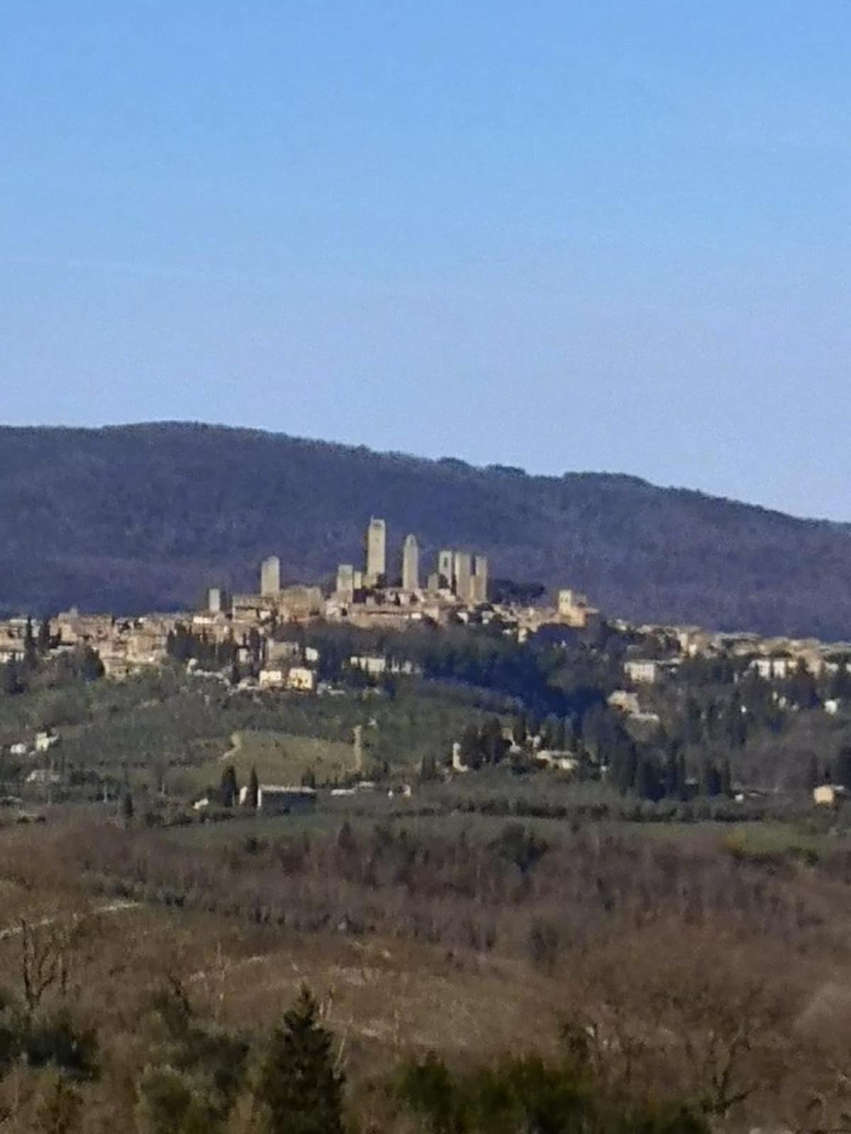 PAPAVERO ROSSO photo 2