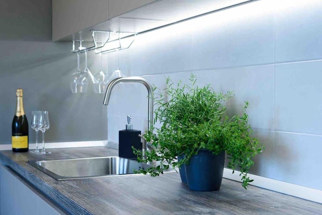 Loft Villa Floreasca