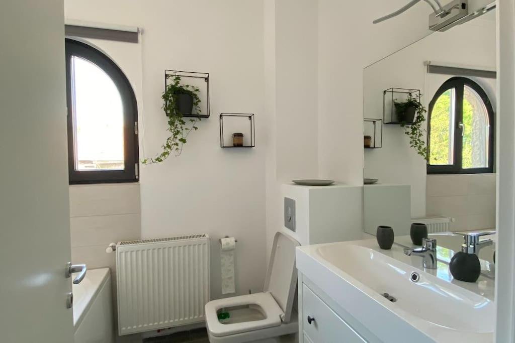Loft Villa Floreasca