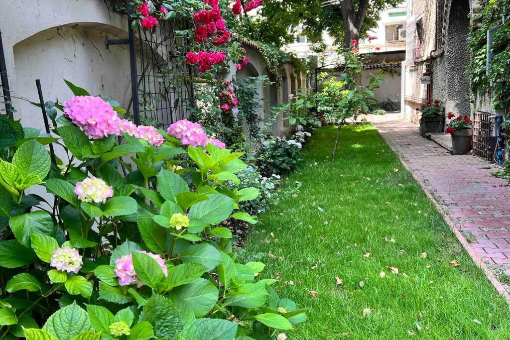 Loft Villa Floreasca