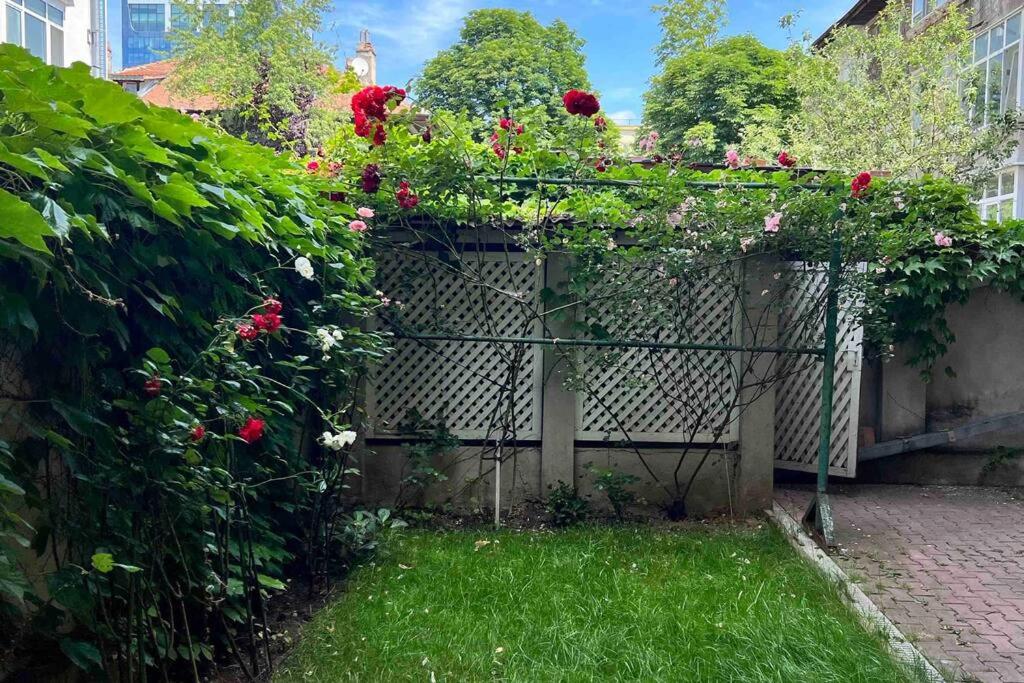 Loft Villa Floreasca