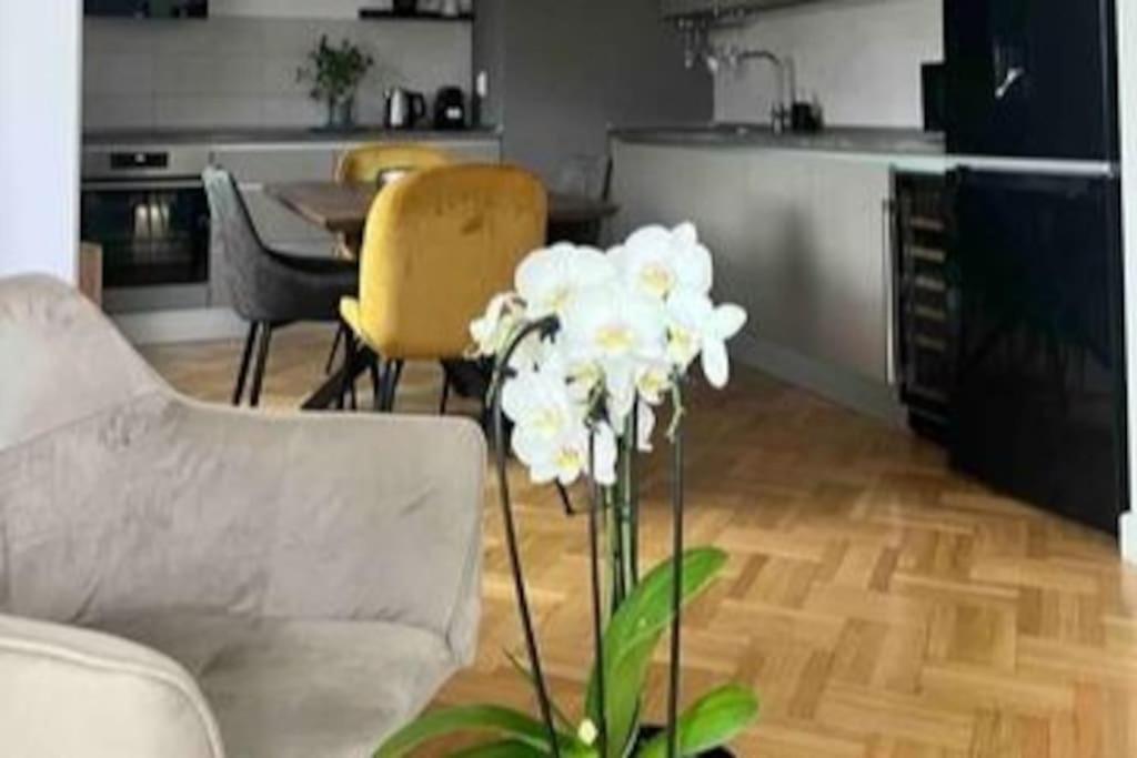 Loft Villa Floreasca