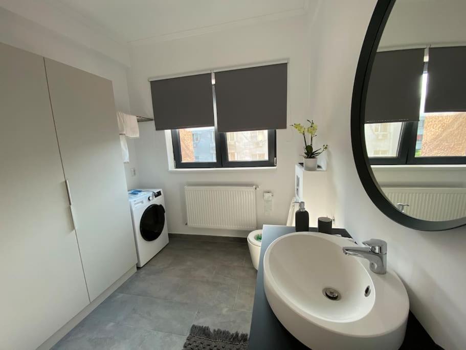 Loft Villa Floreasca