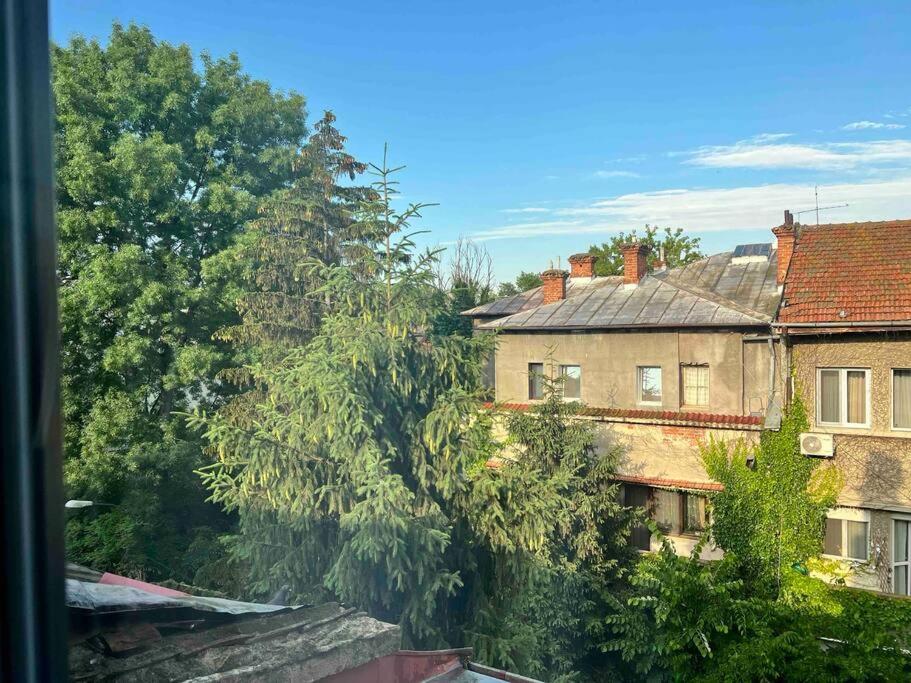 Loft Villa Floreasca