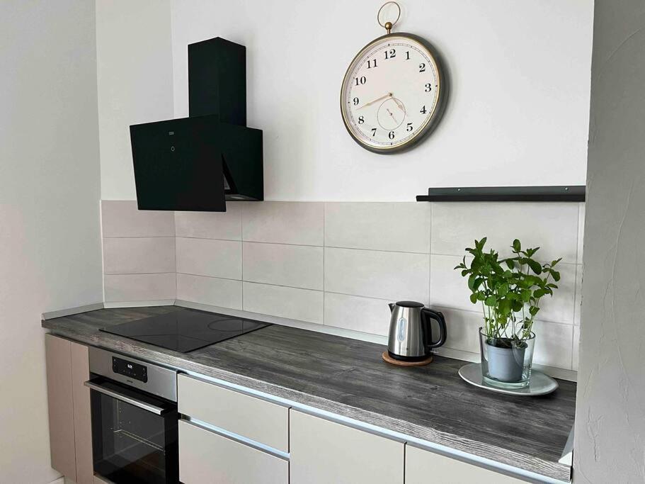 Loft Villa Floreasca