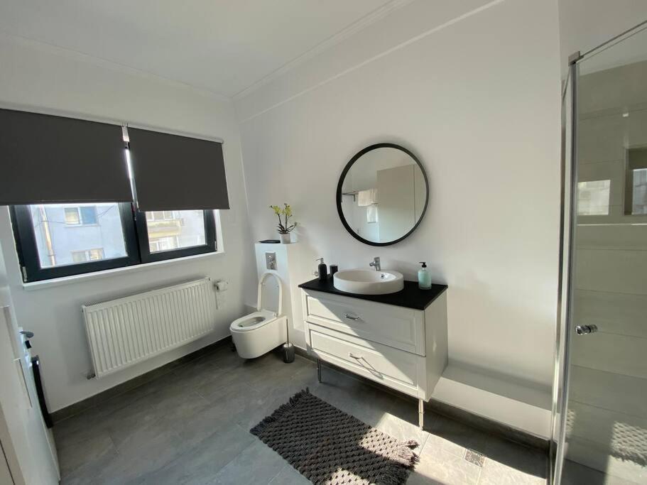 Loft Villa Floreasca
