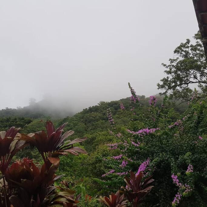 Sítio riacho fundo