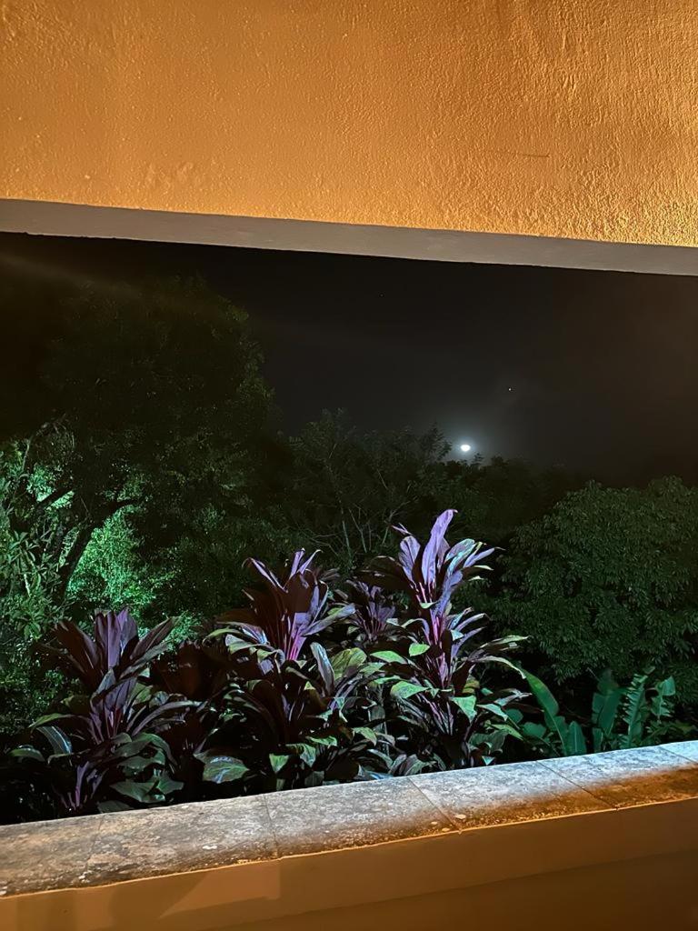 Sítio riacho fundo