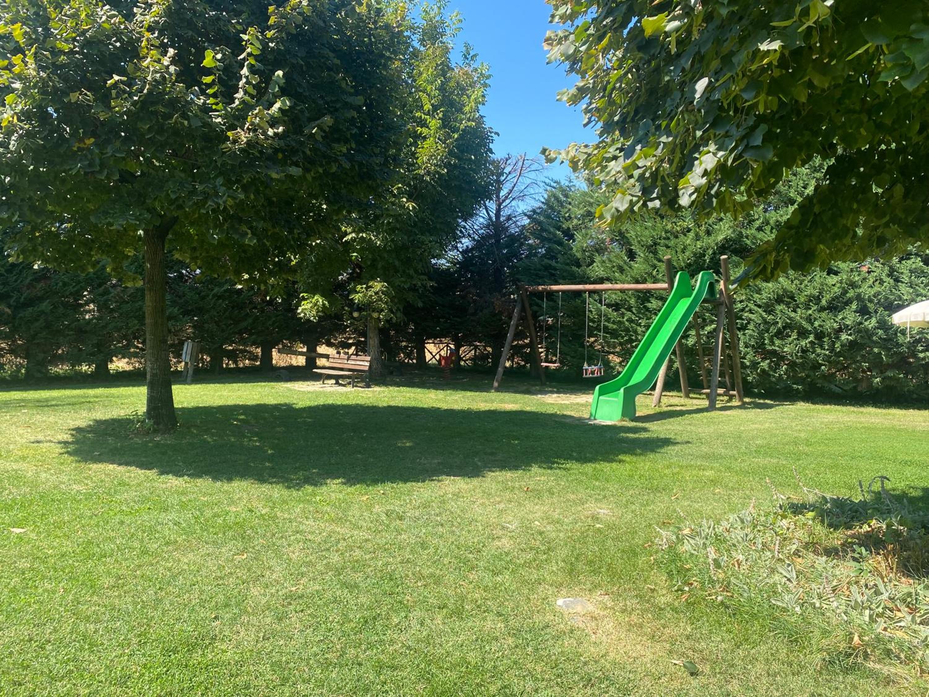 Photo 42