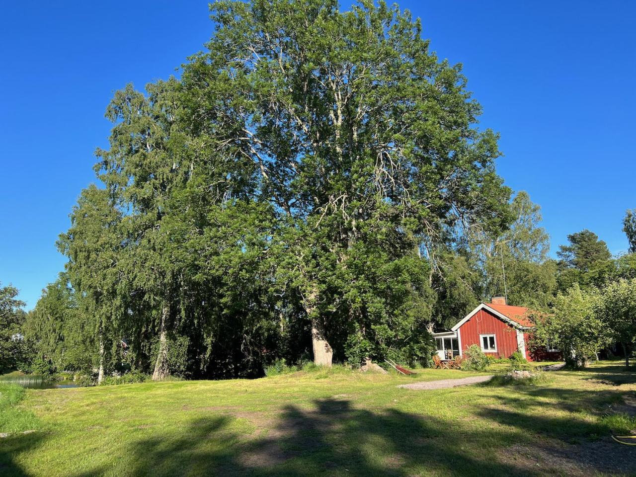 Photo 47