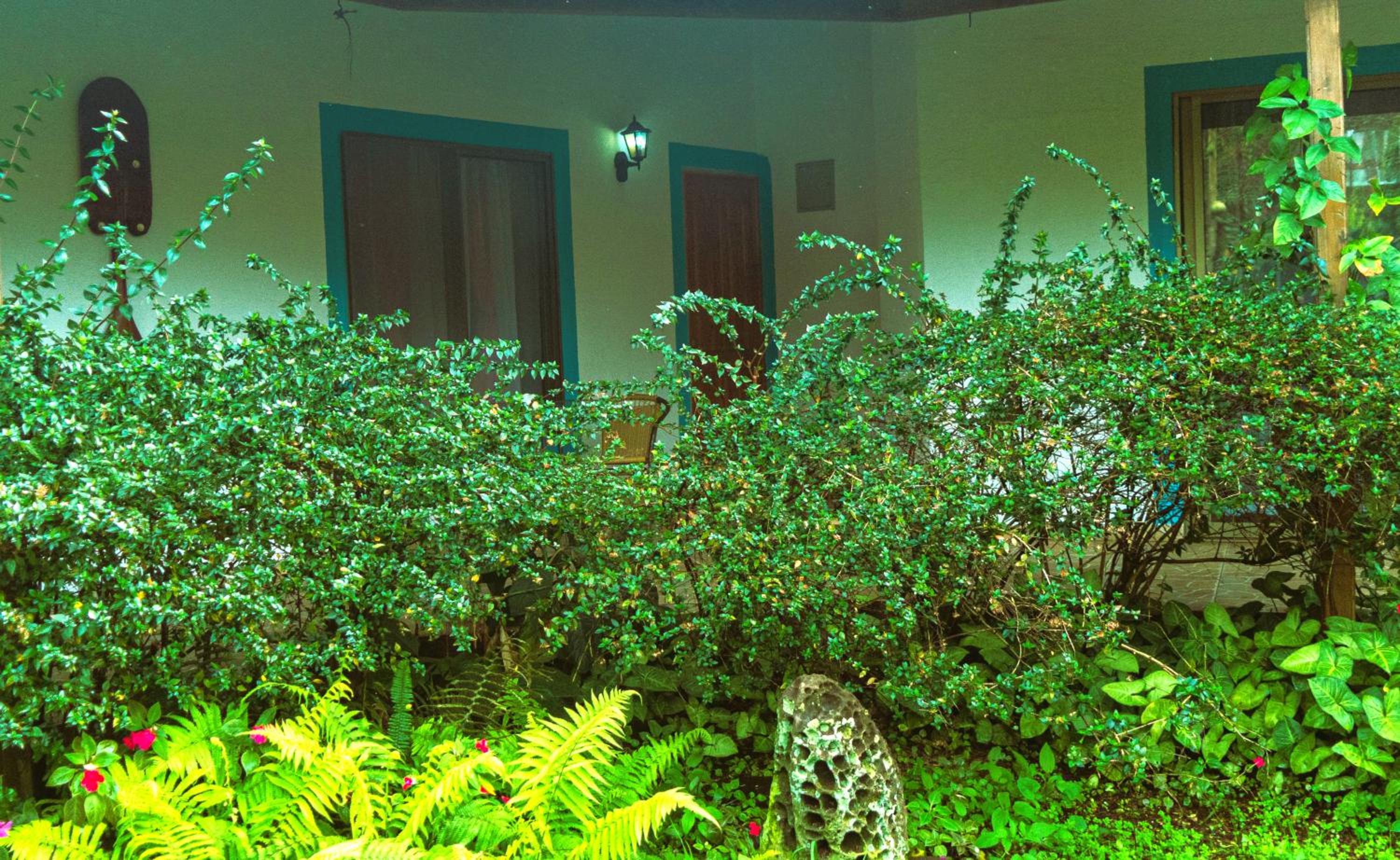 Photo 30