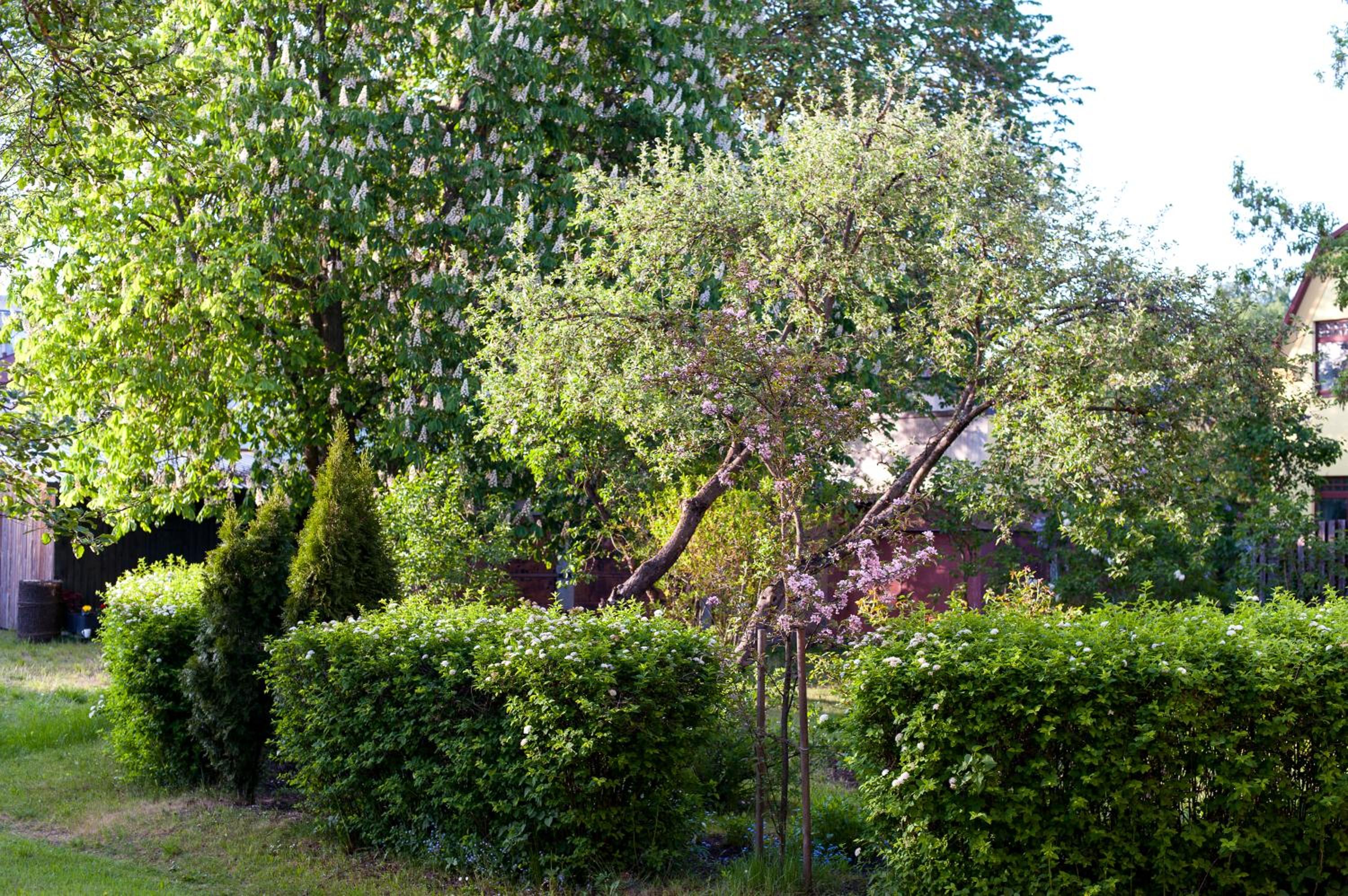 Photo 53