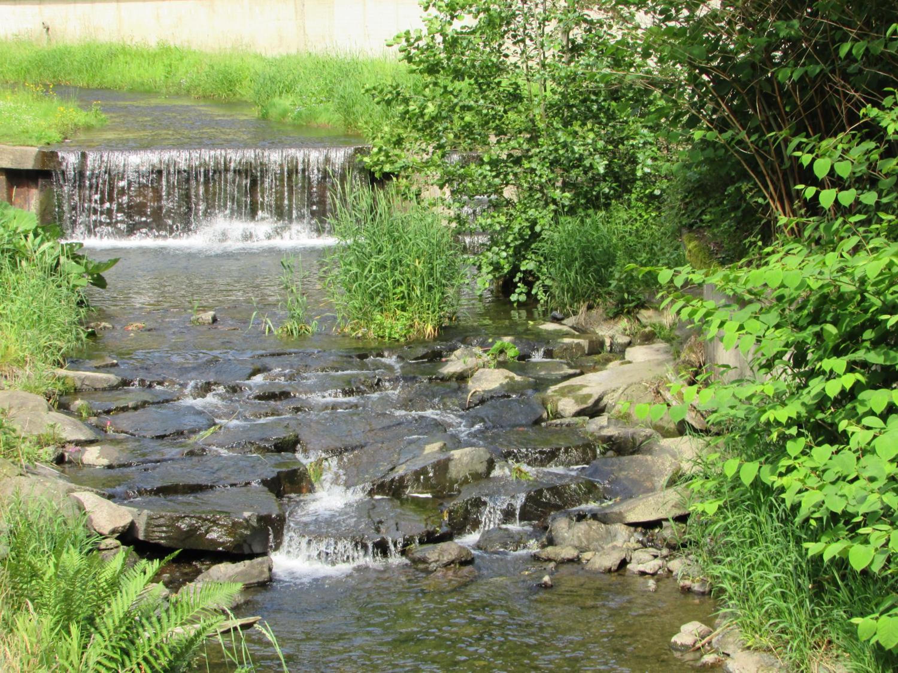 Photo 43