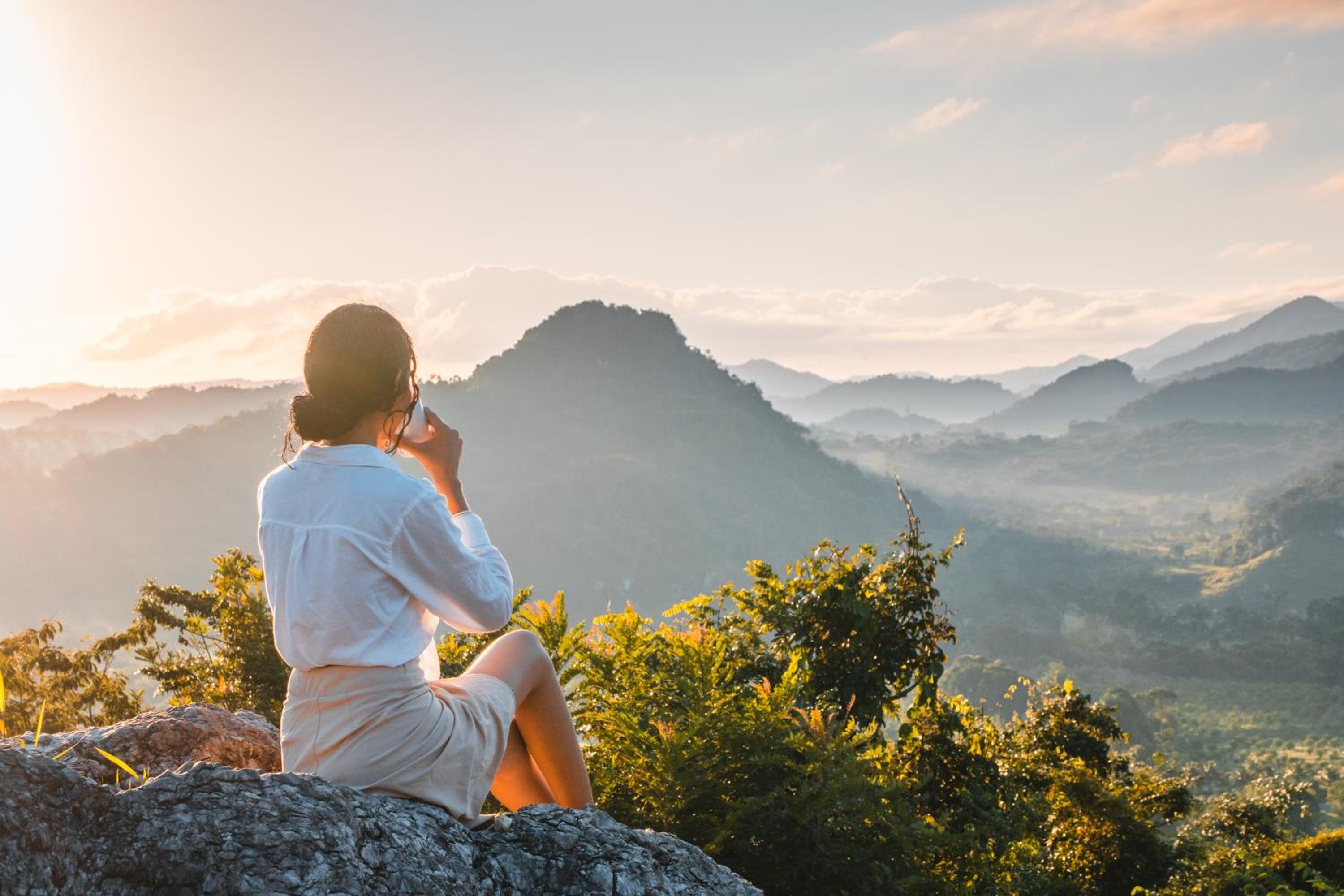 Hotel Sleeping Giant Rainforest Lodge - Image 1