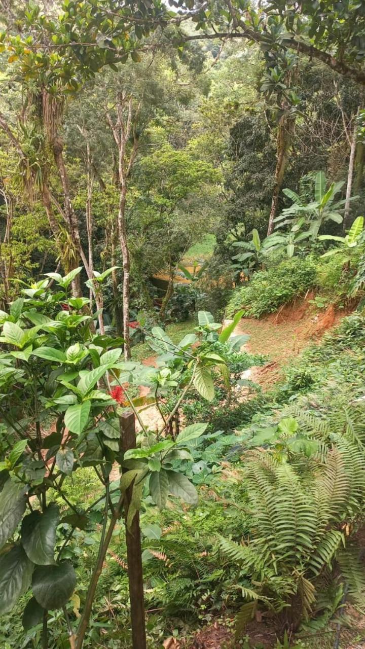 Pousada Rota Do Beija Flor PACOTI-CE