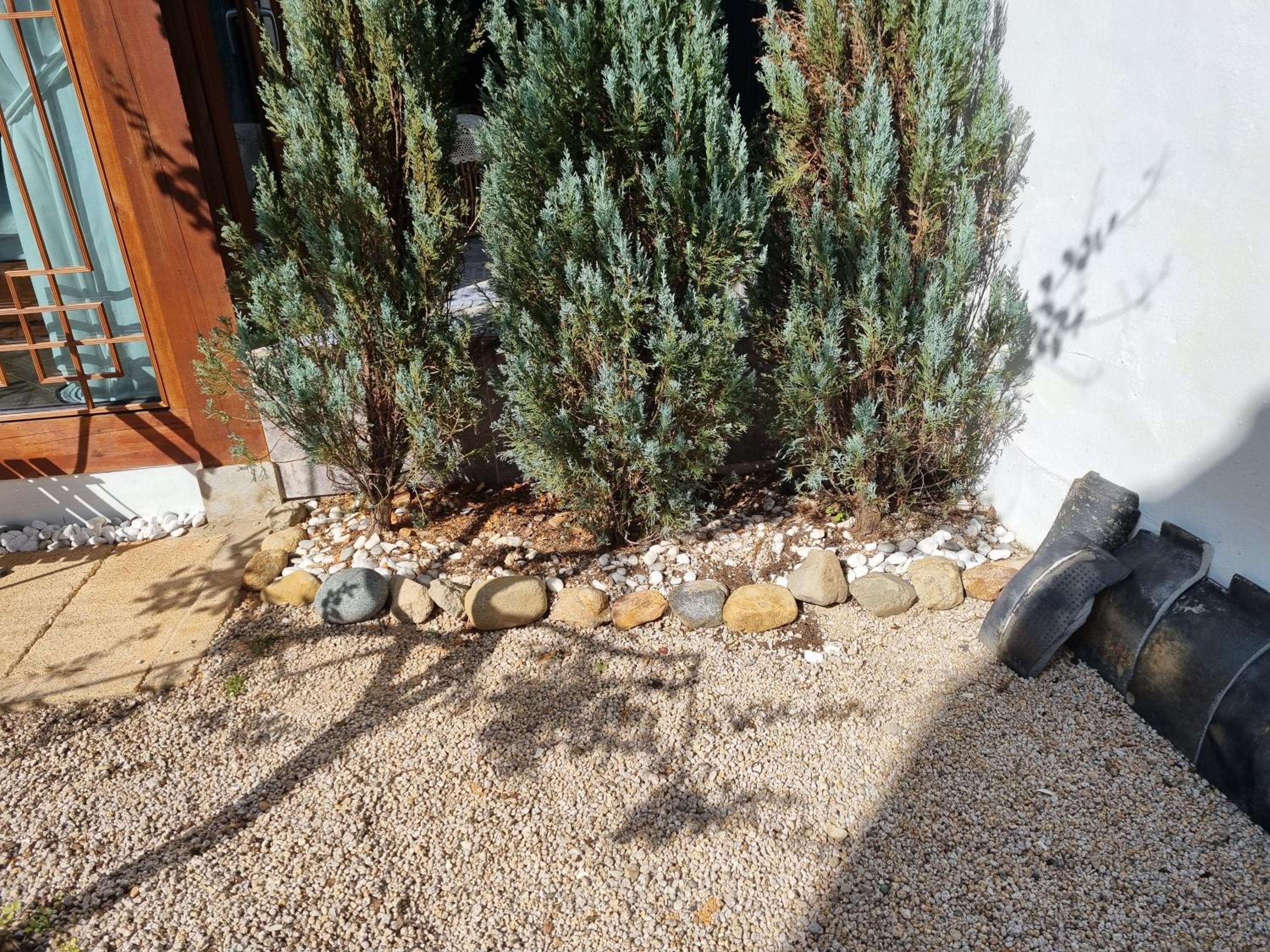 EL House view 3