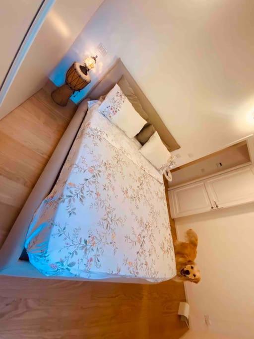 Casa Titti a Trastevere