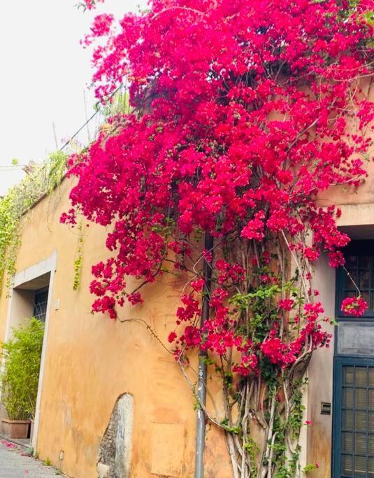 Casa Titti a Trastevere