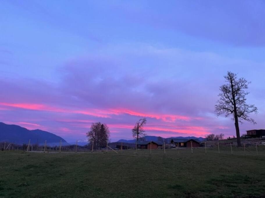 Preciosa cabaña pet friendly con vista a volcanes Villarica y Choshuenco, cerca Termas