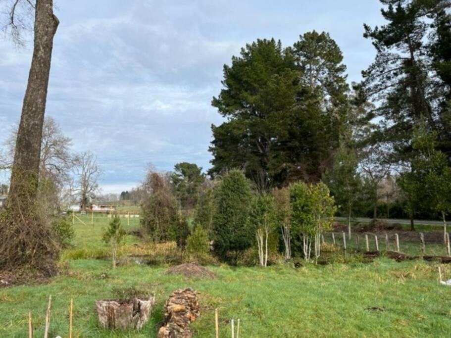 Preciosa cabaña pet friendly con vista a volcanes Villarica y Choshuenco, cerca Termas