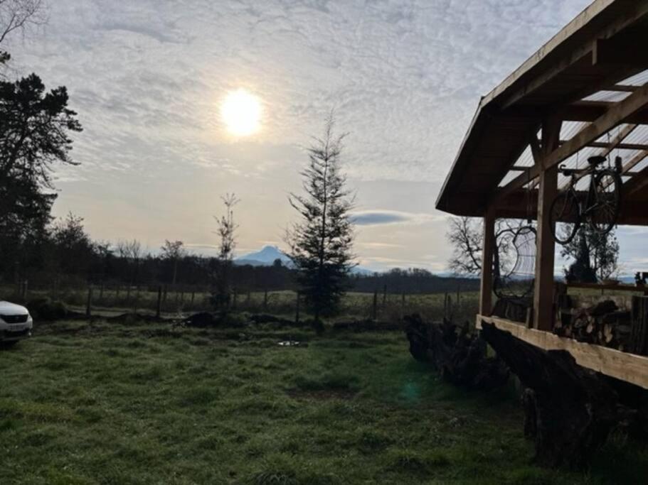 Preciosa cabaña pet friendly con vista a volcanes Villarica y Choshuenco, cerca Termas