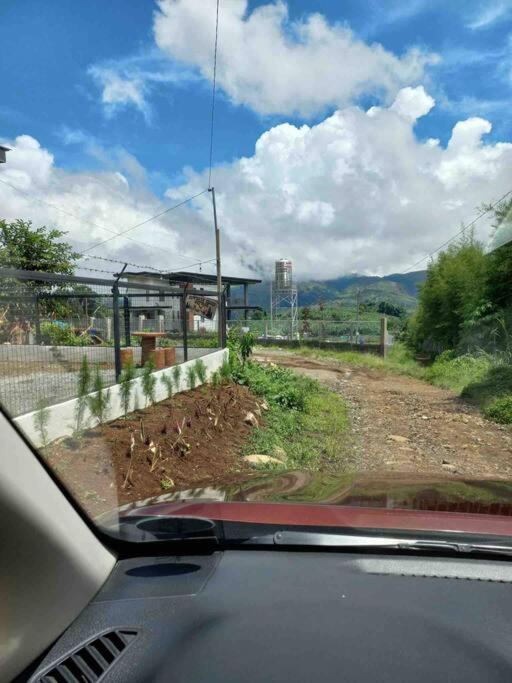 Photo 24