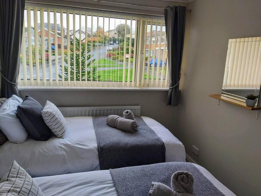 Croeso; Cosy and ideally located for mountains and beaches