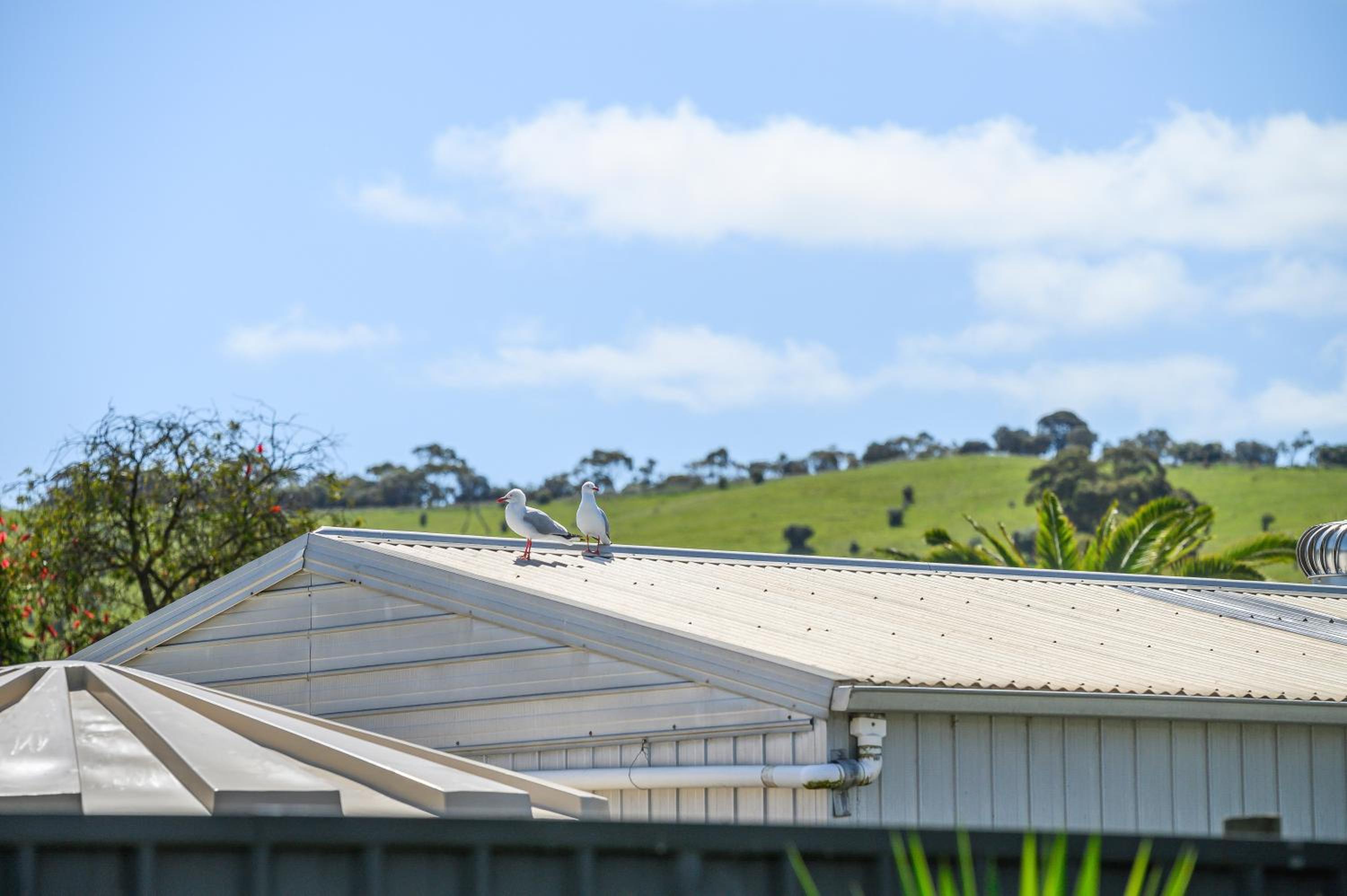 Yankavilla - Yankalilla - C21 SouthCoast Holidays