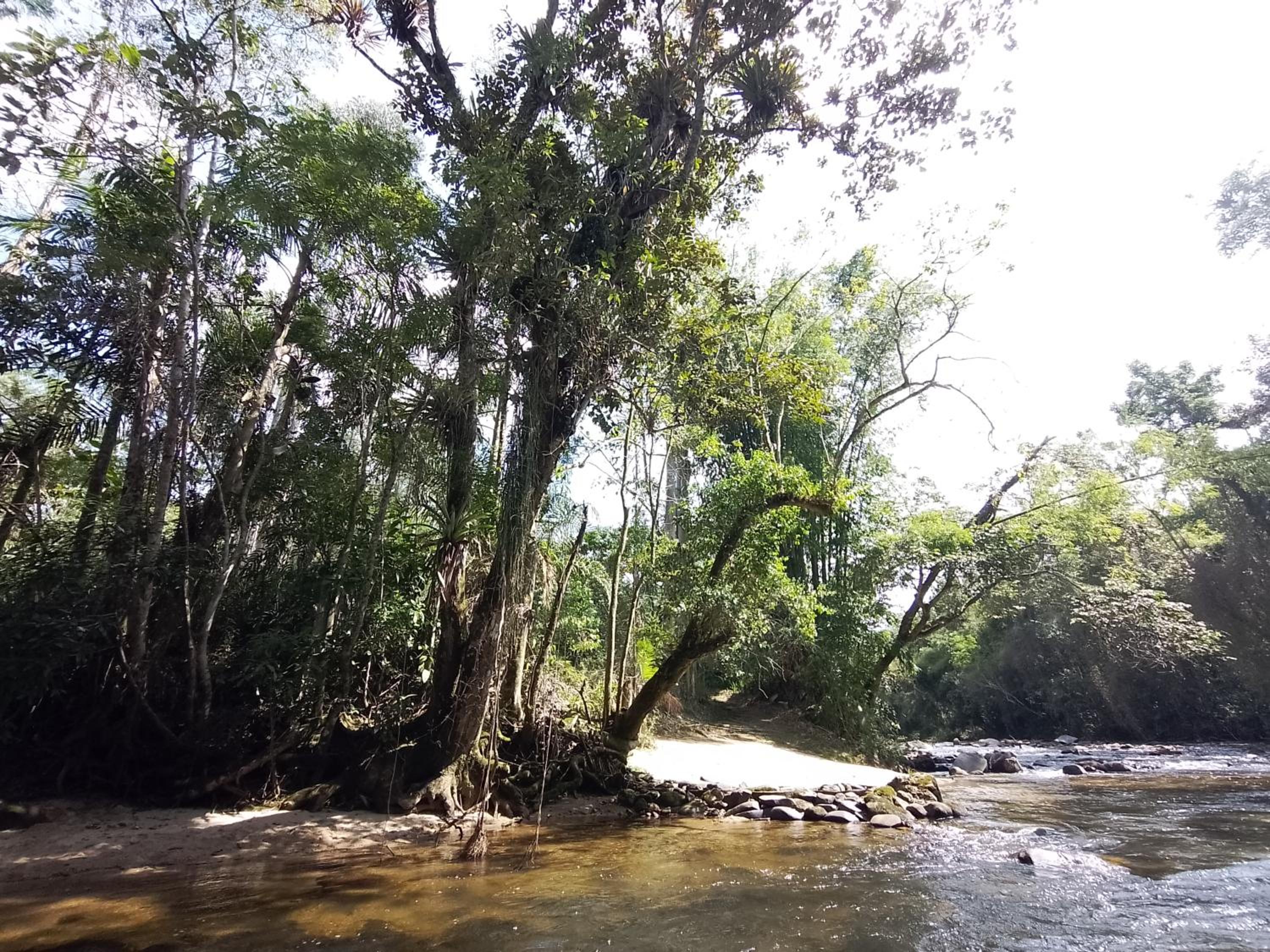 Casa Agaves à beira rio - Sítio Terra Surya