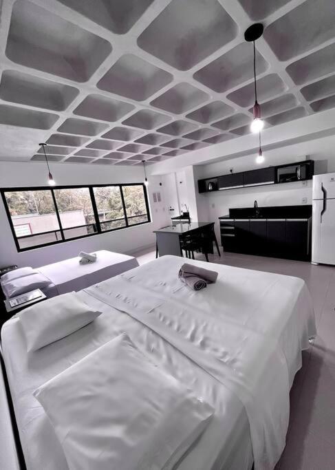 Loft Blumenau