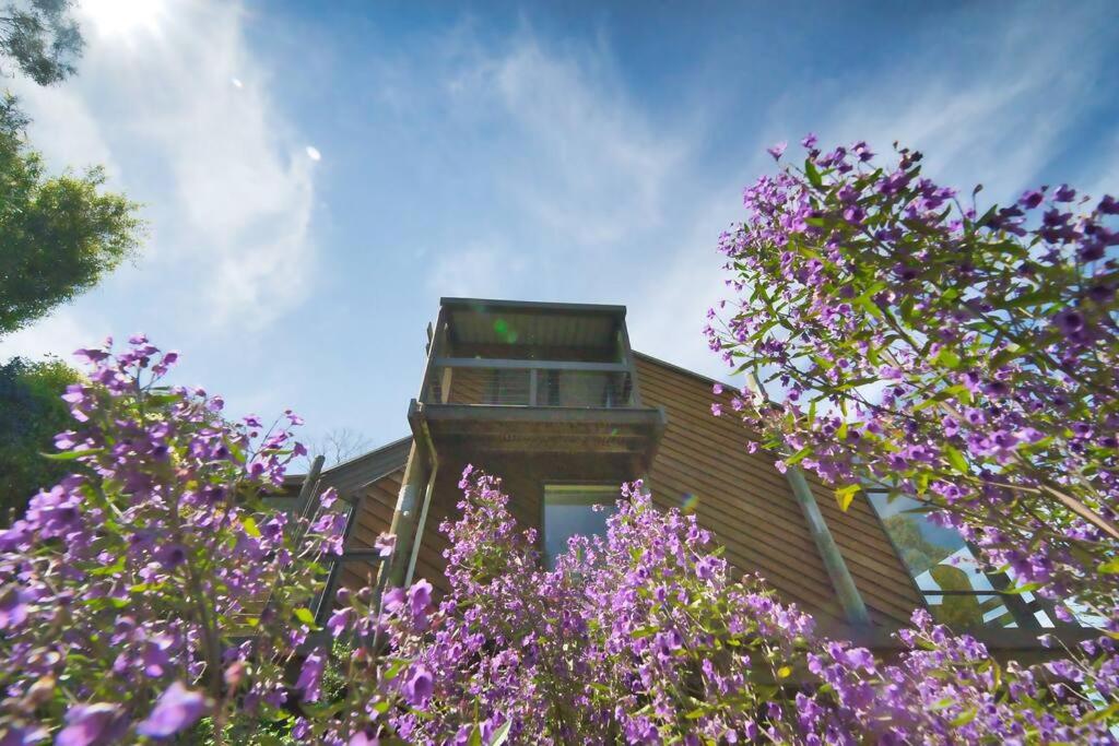 Parvatii-Perfect Adelaide Escape-15 mins to City & Wineries
