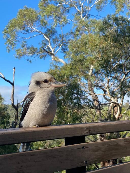 Parvatii-Perfect Adelaide Escape-15 mins to City & Wineries