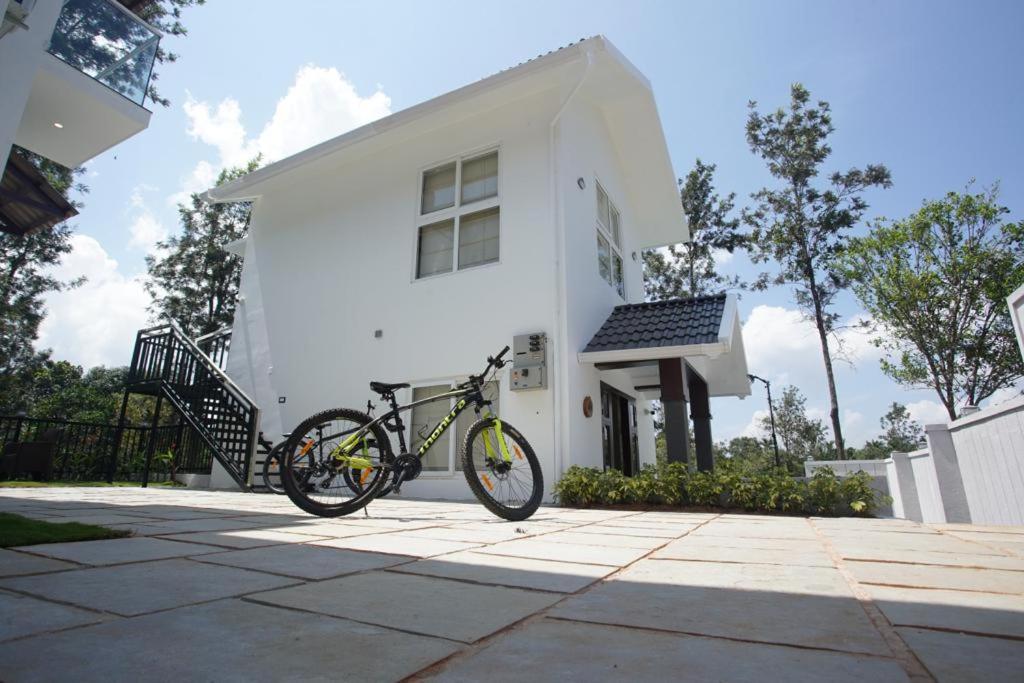 Pabis luxurious stay