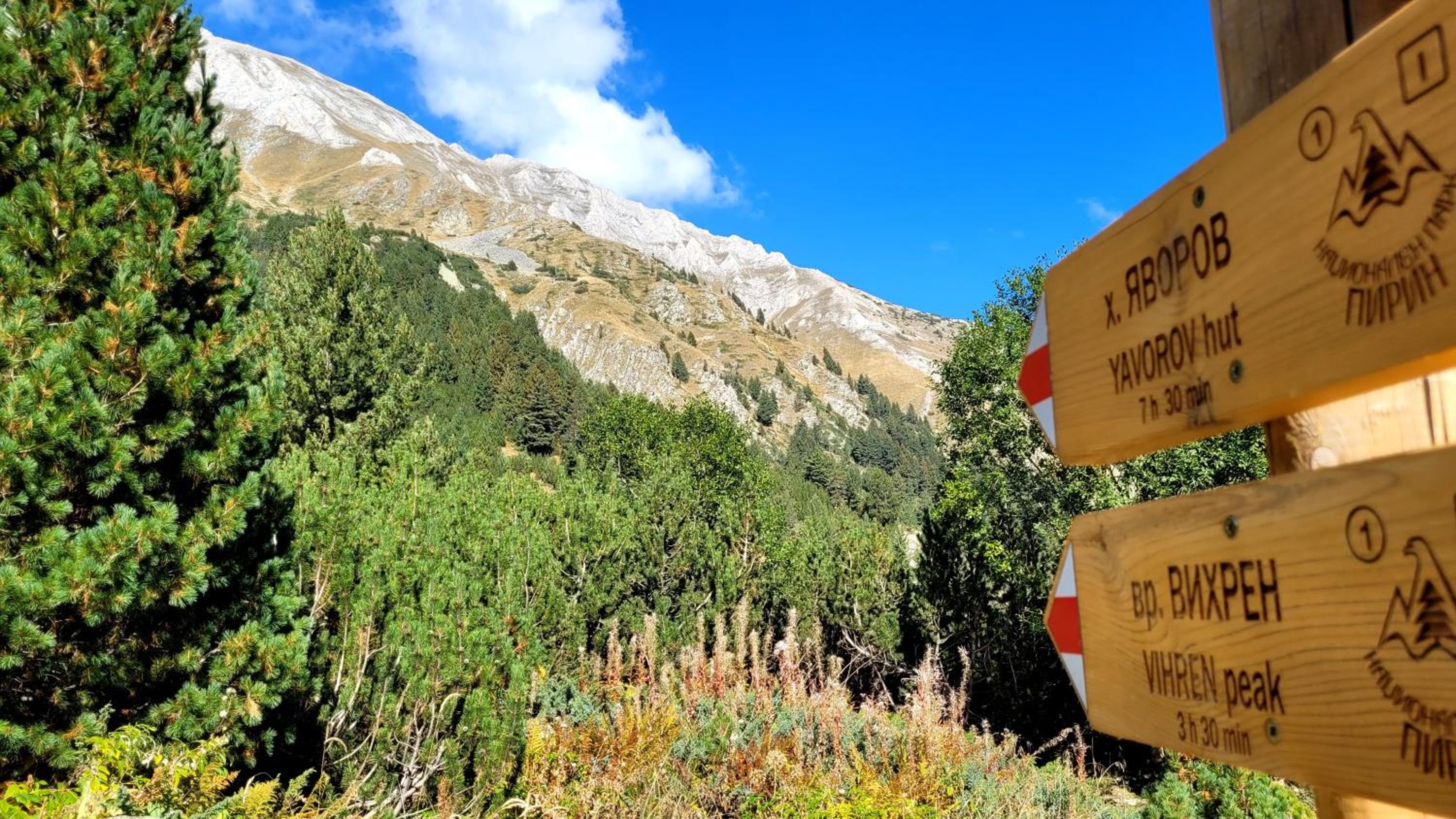 Cozy studio with balcony and incl SPA in 4-star hotel Saint Ivan Rilski , Bansko