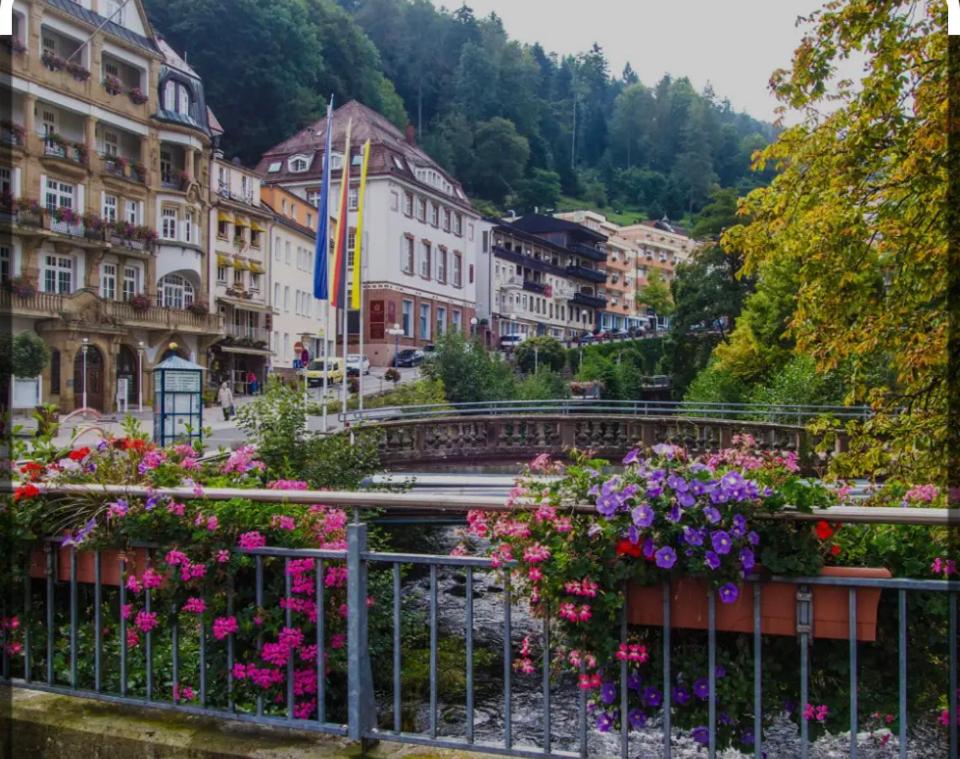 Viva la Wildbad