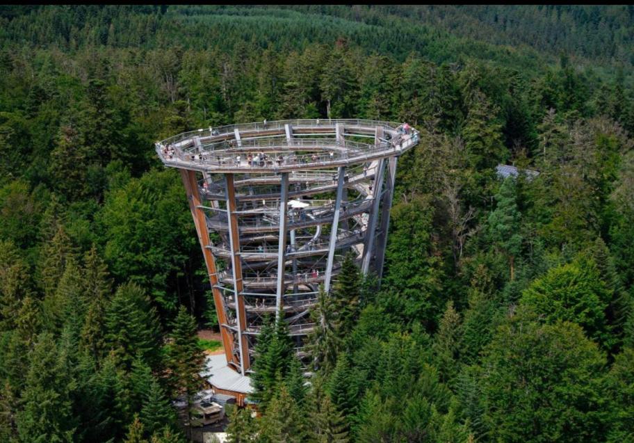 Viva la Wildbad