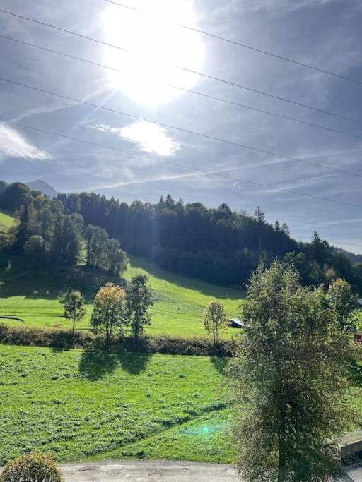 Apartment „Bergblick“