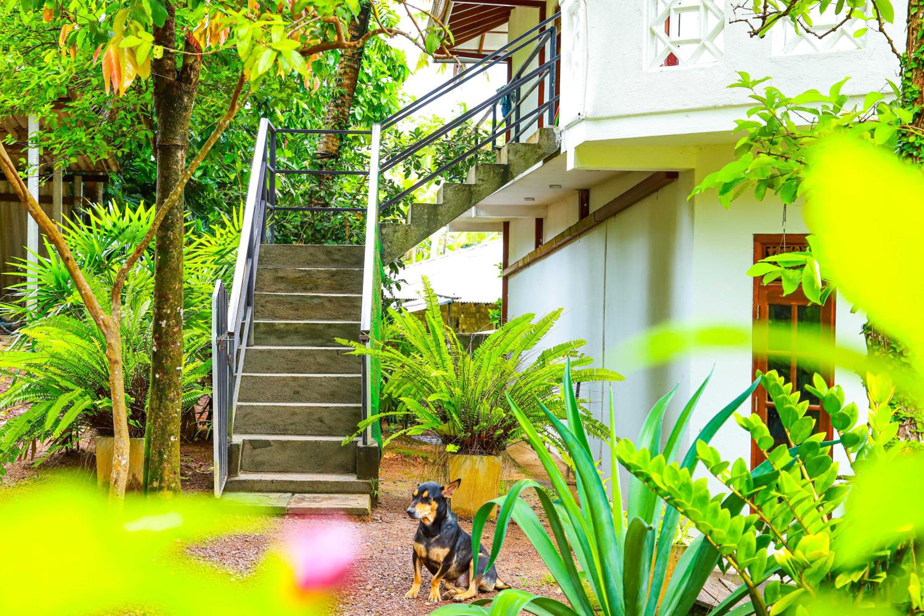 Dil's Place view 4