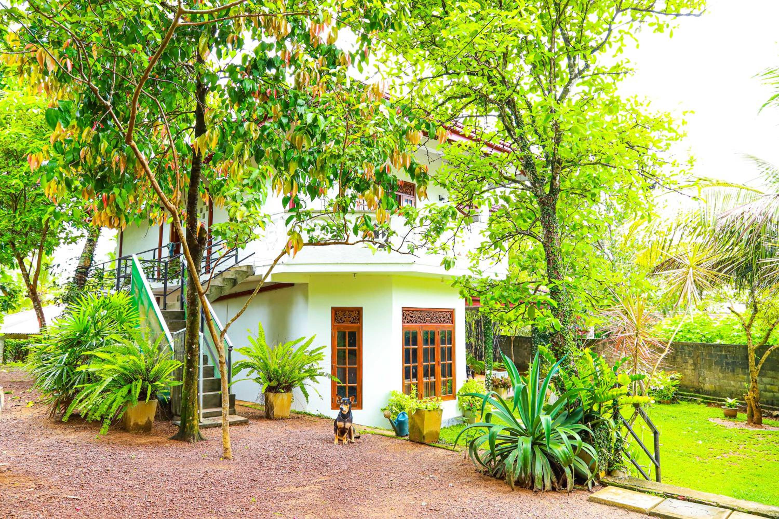 Dil's Place view 2